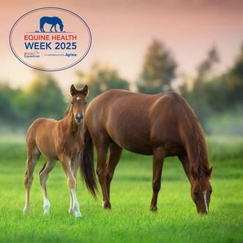 Equine Health Week 2025: Reflecting on a Successful week with the British Equestrian Federation and Agria